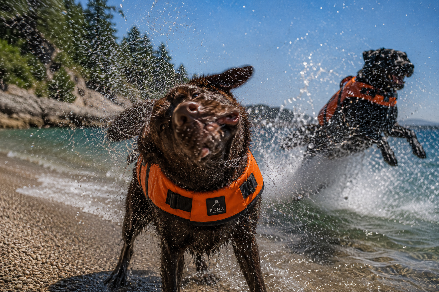 Life Jackets